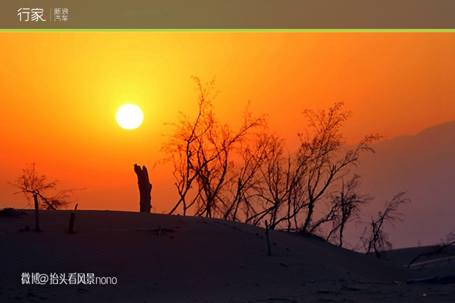 行家|一遇到冬日的暖阳 宁夏便成了西夏