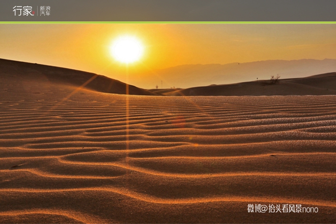 行家|一遇到冬日的暖阳 宁夏便成了西夏