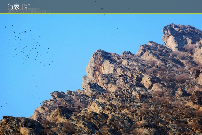 行家|一遇到冬日的暖阳 宁夏便成了西夏