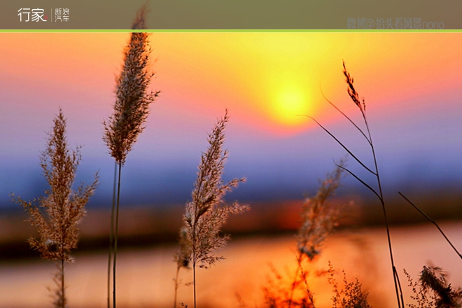 行家|一遇到冬日的暖阳 宁夏便成了西夏