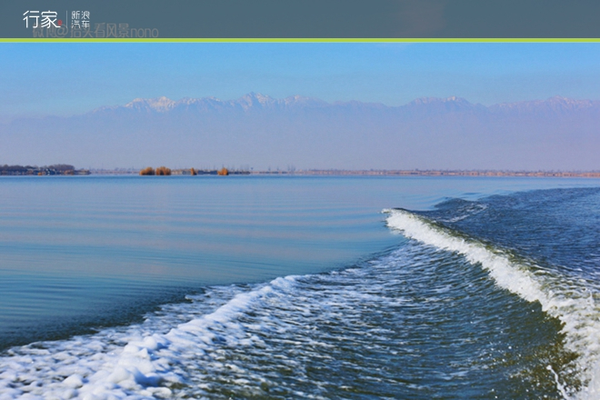 行家|一遇到冬日的暖阳 宁夏便成了西夏