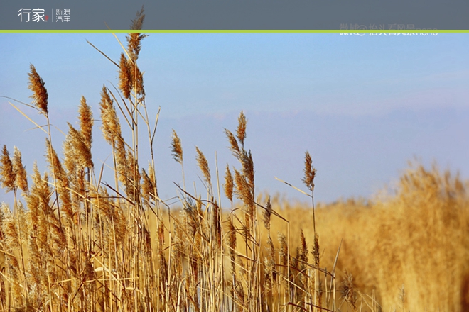 行家|一遇到冬日的暖阳 宁夏便成了西夏
