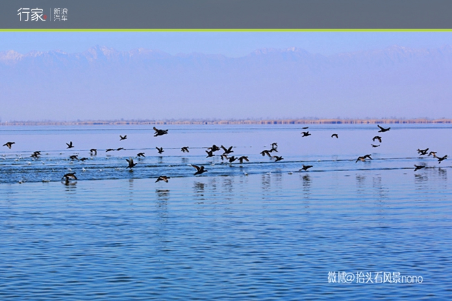 行家|一遇到冬日的暖阳 宁夏便成了西夏