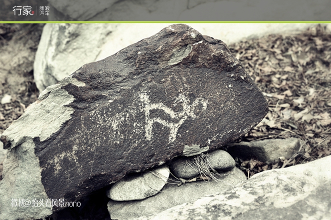 行家|一遇到冬日的暖阳 宁夏便成了西夏