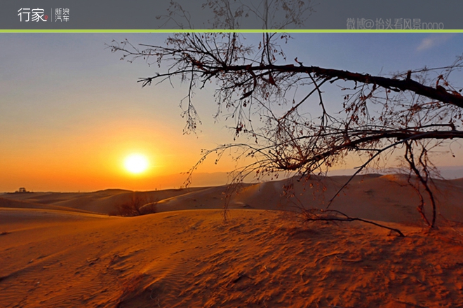 行家|一遇到冬日的暖阳 宁夏便成了西夏