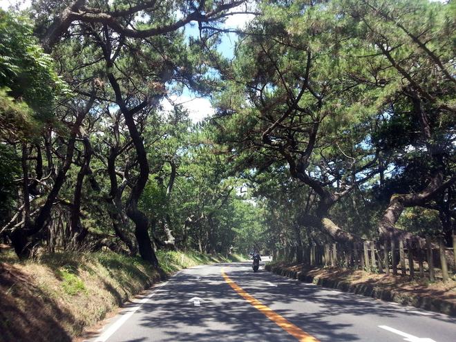 招募|5980元7天 日本九州岛自驾旅行