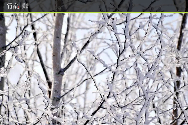 挑战零下50度的极寒之地