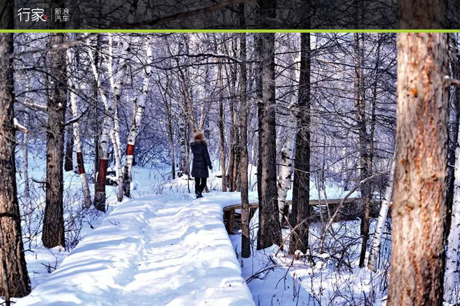 挑战零下50度的极寒之地