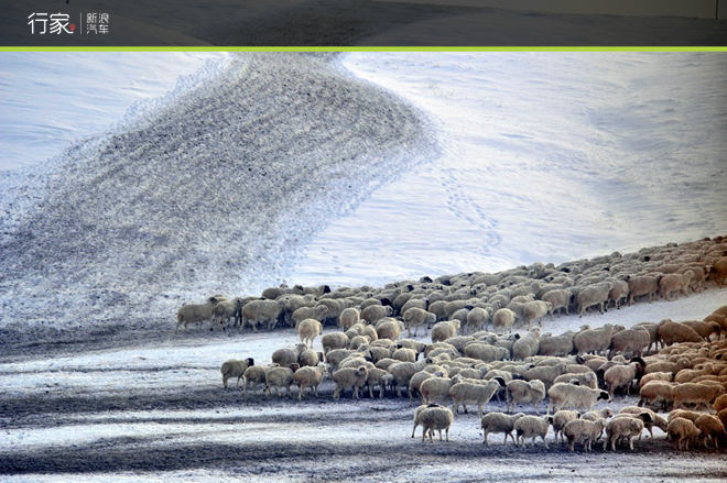 挑战零下50度的极寒之地