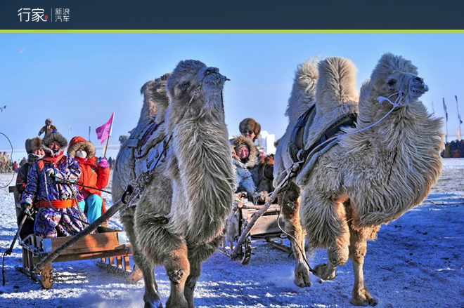 挑战零下50度的极寒之地