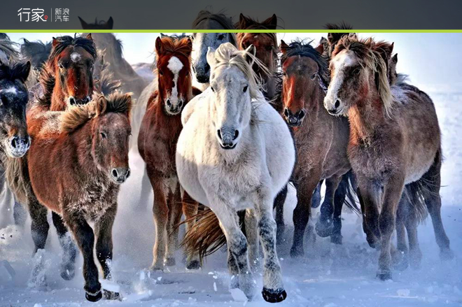 挑战零下50度的极寒之地