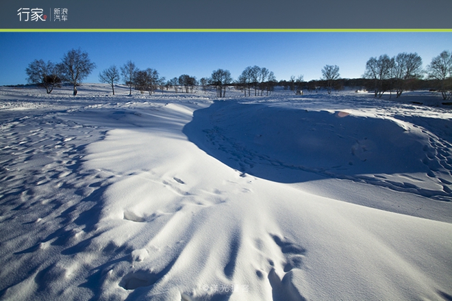 行家|扬鞭策马 暗藏杀机的坝上雪原美景