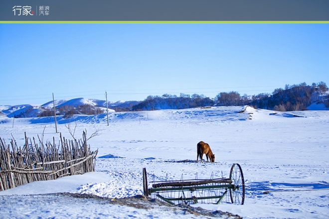 行家|扬鞭策马 暗藏杀机的坝上雪原美景