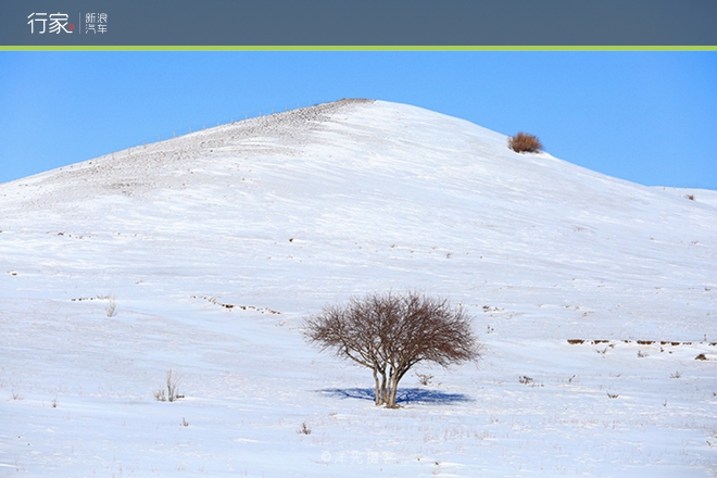 行家|扬鞭策马 暗藏杀机的坝上雪原美景