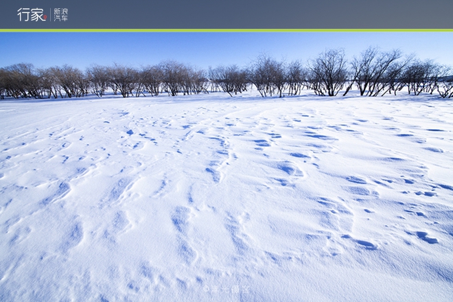 行家|扬鞭策马 暗藏杀机的坝上雪原美景