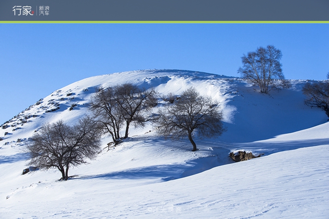 行家|扬鞭策马 暗藏杀机的坝上雪原美景