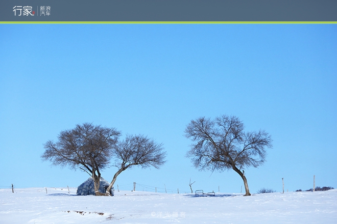 行家|扬鞭策马 暗藏杀机的坝上雪原美景