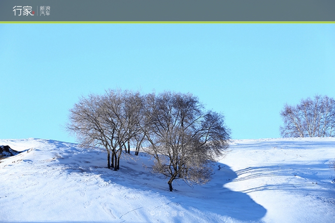 行家|扬鞭策马 暗藏杀机的坝上雪原美景