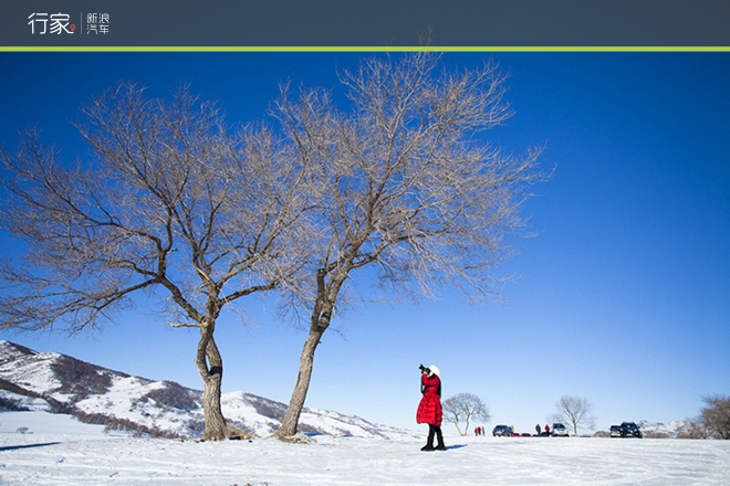 行家|扬鞭策马 暗藏杀机的坝上雪原美景