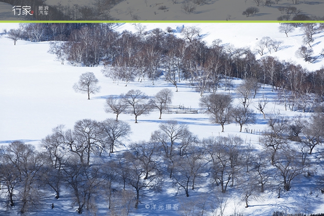 行家|扬鞭策马 暗藏杀机的坝上雪原美景