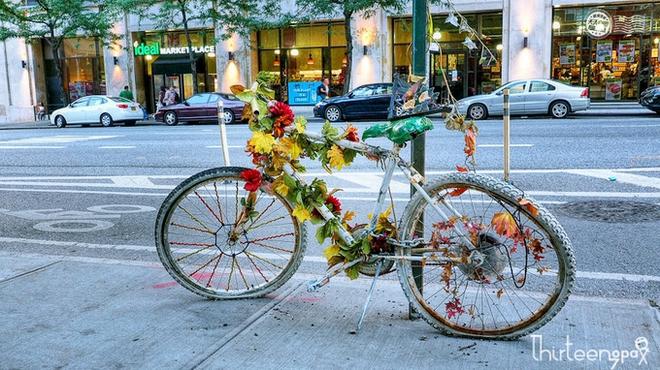 自驾|欢畅购物 去纽约必须吃的美味大龙虾