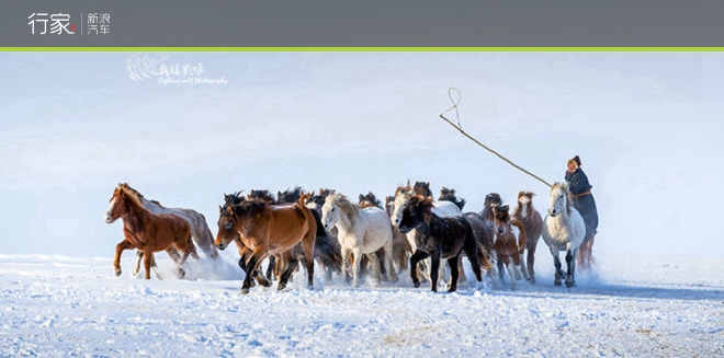 行家|一个冬天过七个月 无摔跤不热血