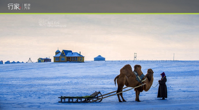 行家|一个冬天过七个月 无摔跤不热血