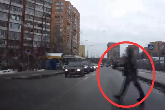 视频：正能量！善良的车主送幼犬过马路