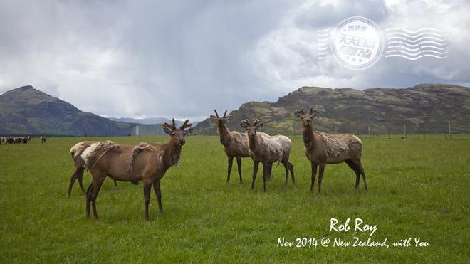 自驾|自驾就是要任性 湖光雪色徒步新西兰