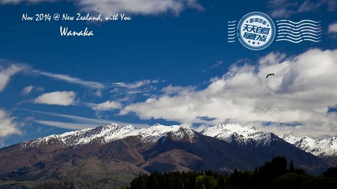 自驾|自驾就是要任性 湖光雪色徒步新西兰