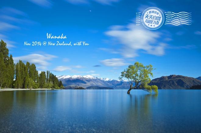 自驾|自驾就是要任性 湖光雪色徒步新西兰