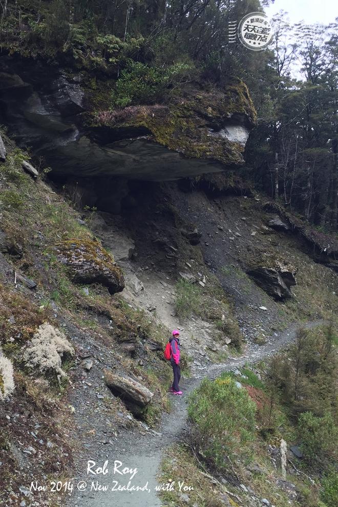 自驾|自驾就是要任性 湖光雪色徒步新西兰