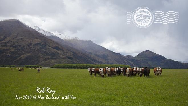 自驾|自驾就是要任性 湖光雪色徒步新西兰