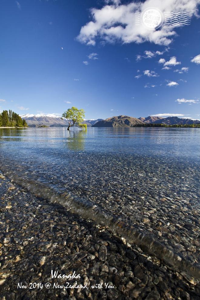 自驾|自驾就是要任性 湖光雪色徒步新西兰