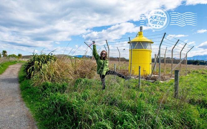自驾|直升机寻找大鲸鱼 与海狮宝宝晒太阳