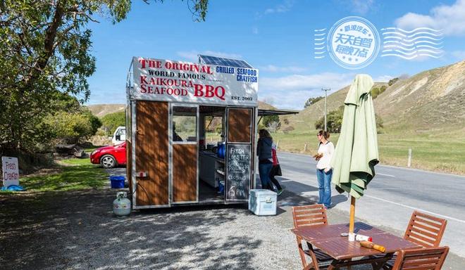 自驾|直升机寻找大鲸鱼 与海狮宝宝晒太阳