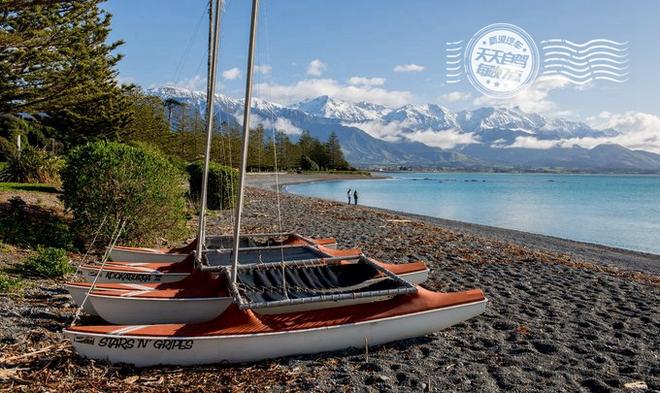 自驾|直升机寻找大鲸鱼 与海狮宝宝晒太阳