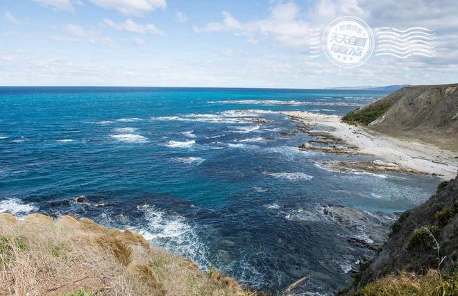 自驾|直升机寻找大鲸鱼 与海狮宝宝晒太阳