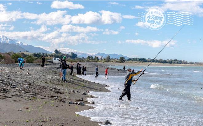 自驾|直升机寻找大鲸鱼 与海狮宝宝晒太阳