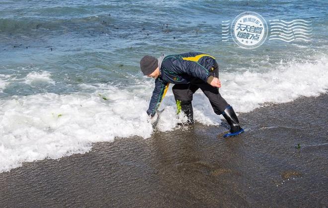 自驾|直升机寻找大鲸鱼 与海狮宝宝晒太阳