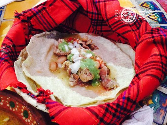 自驾|墨西哥独家玩法 用仙人掌自残找快感