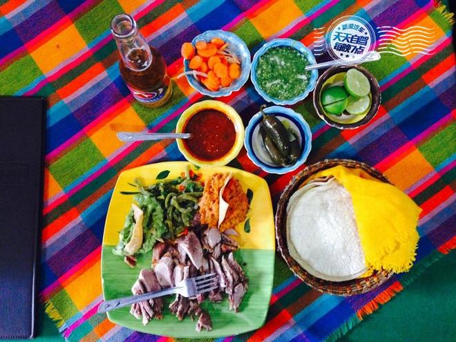 自驾|墨西哥独家玩法 用仙人掌自残找快感