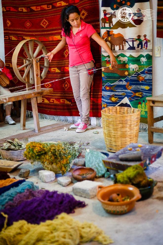 自驾|墨西哥独家玩法 用仙人掌自残找快感