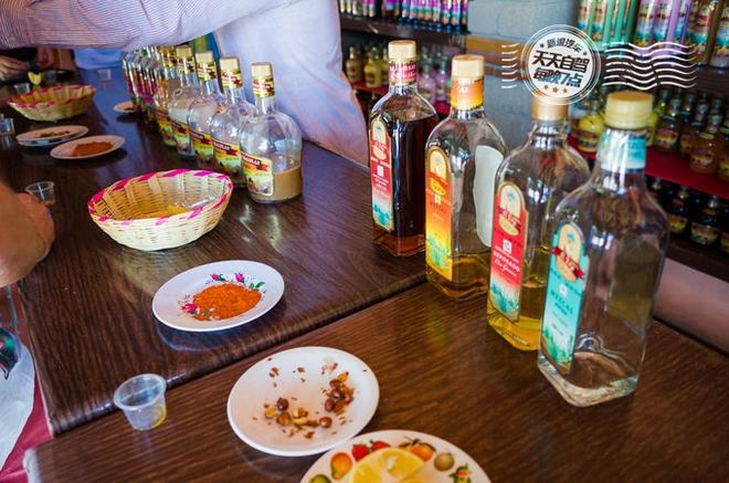 自驾|墨西哥独家玩法 用仙人掌自残找快感