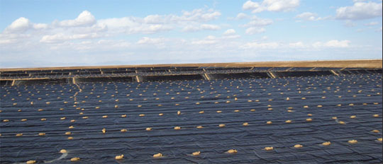 锂电池企业呼吁反垄断调查