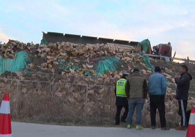 高速行车遇到动物横穿,该不该压?