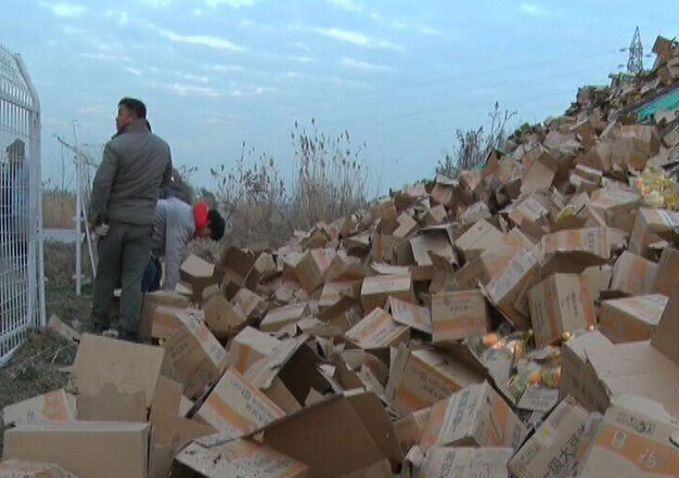 高速行车遇到动物横穿,该不该压?