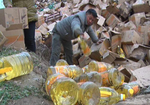 高速行车遇到动物横穿,该不该压?