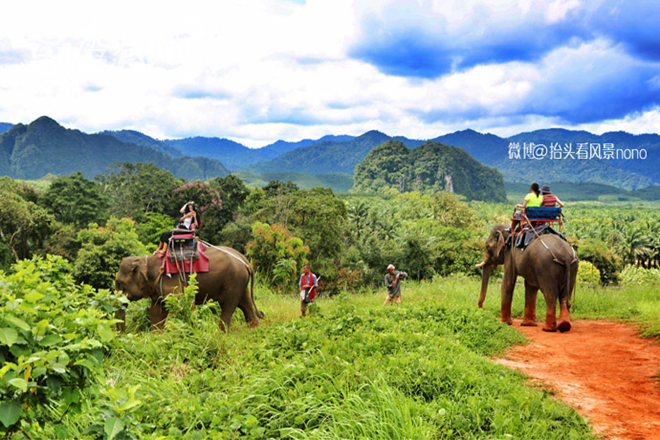 看气质更要看颜值 美女到泰国体验慢生活