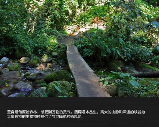 兄弟同行 2200公里全路况滇西自驾旅行